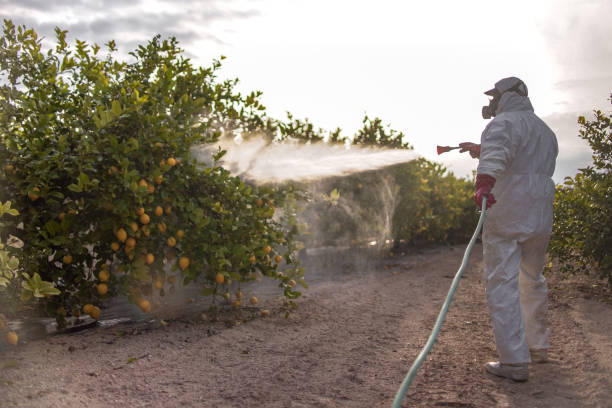 Trusted Monroe, WI Pest Control Experts