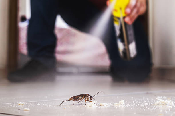 Best Rat Extermination Near Me  in Monroe, WI