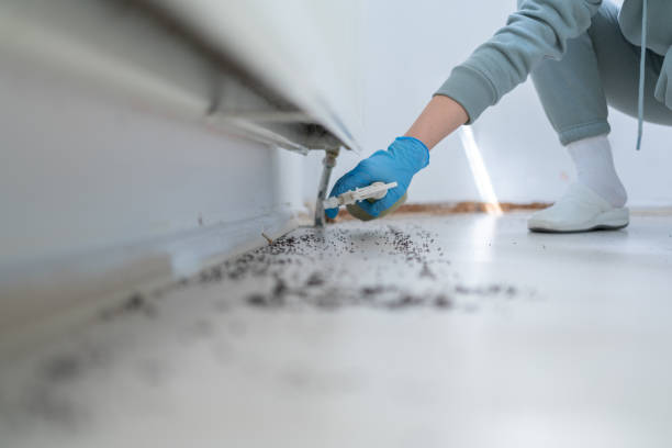 Best Pest Prevention Services  in Monroe, WI