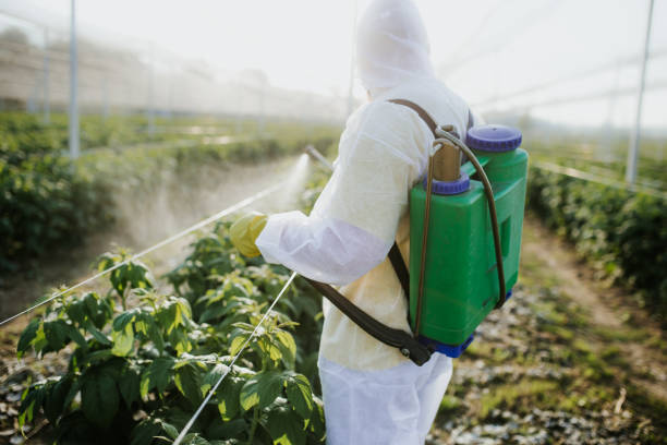 Best Affordable Pest Control Services  in Monroe, WI